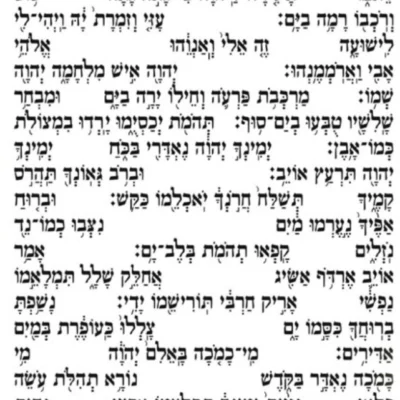 אבישר הר-שפי